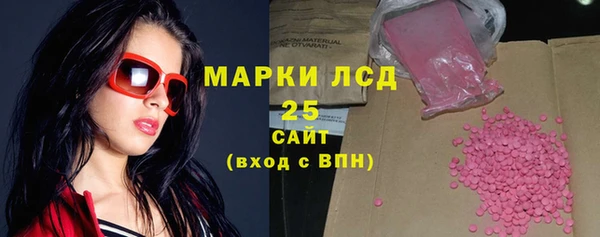 ПСИЛОЦИБИНОВЫЕ ГРИБЫ Верея